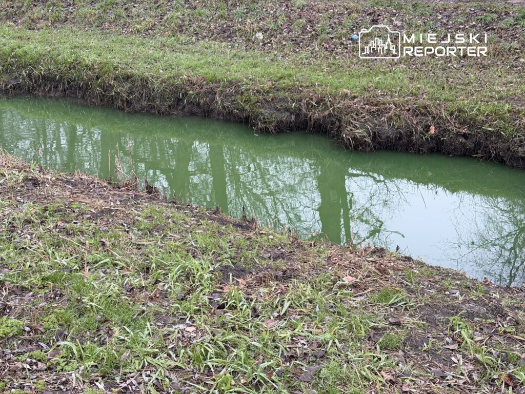 s u ewiec cayi ndaki yesil su bolge sakinlerini endiselendirdi 26878