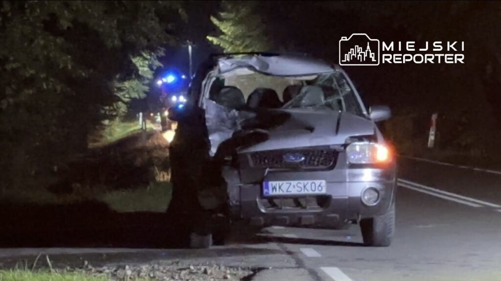 Sarhos surucu uc yayayi oldurdu ve ikisini yaraladi 15 yil hapis cezasina carptirildi 28012