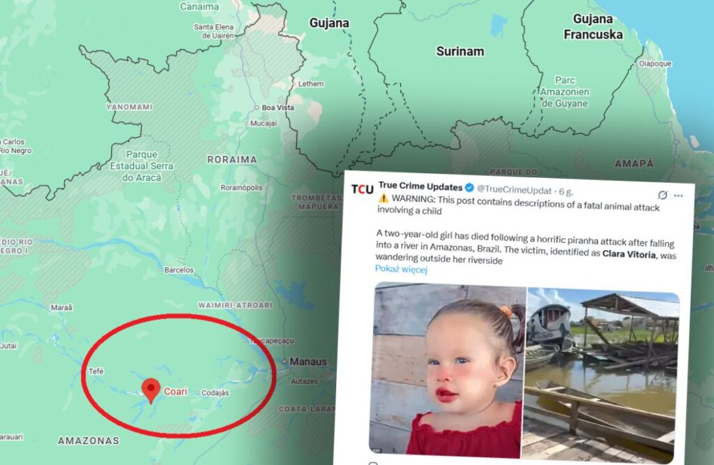 suda urkutucu saldiri brezilya da iki yasindaki kiz cocugu piranalarin saldirisina ugradi 32419