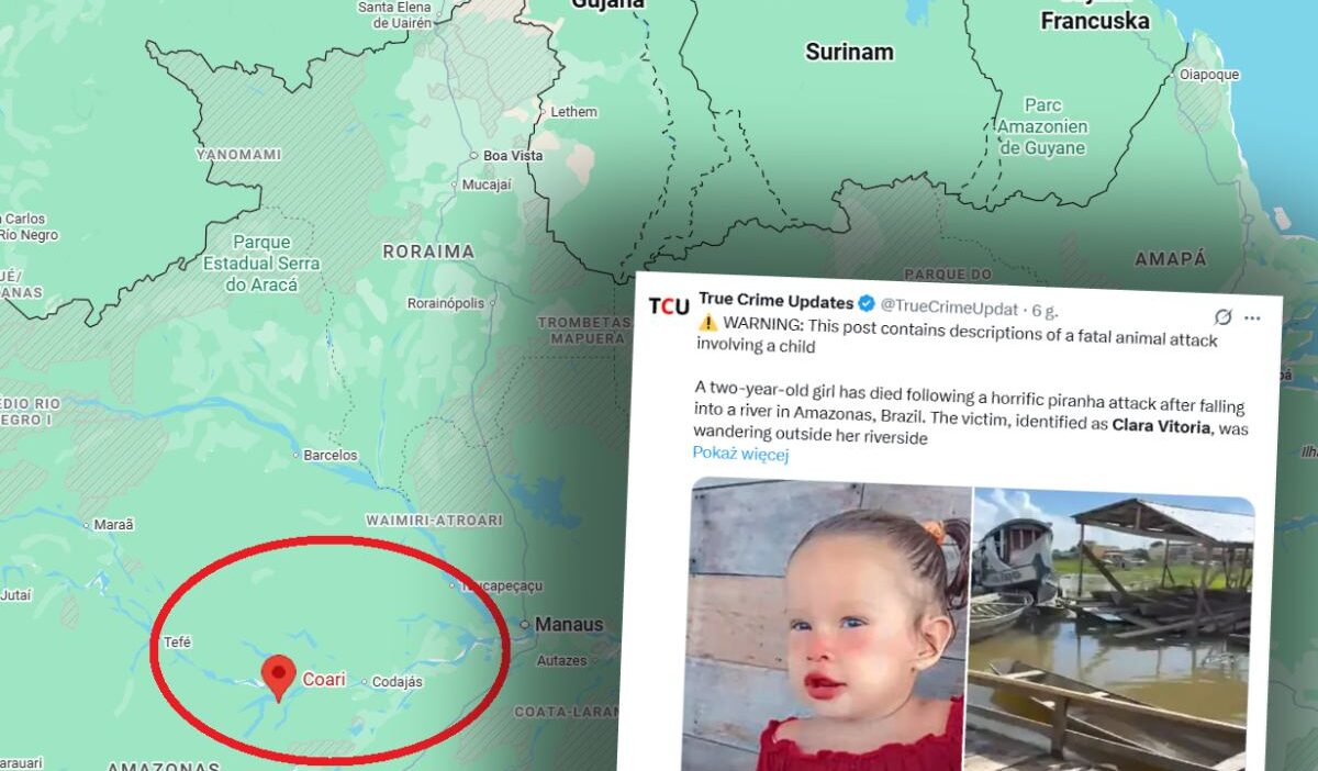 Suda urkutucu saldiri brezilya da iki yasindaki kiz cocugu piranalarin saldirisina ugradi 32419