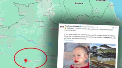 Suda urkutucu saldiri brezilya da iki yasindaki kiz cocugu piranalarin saldirisina ugradi 32419