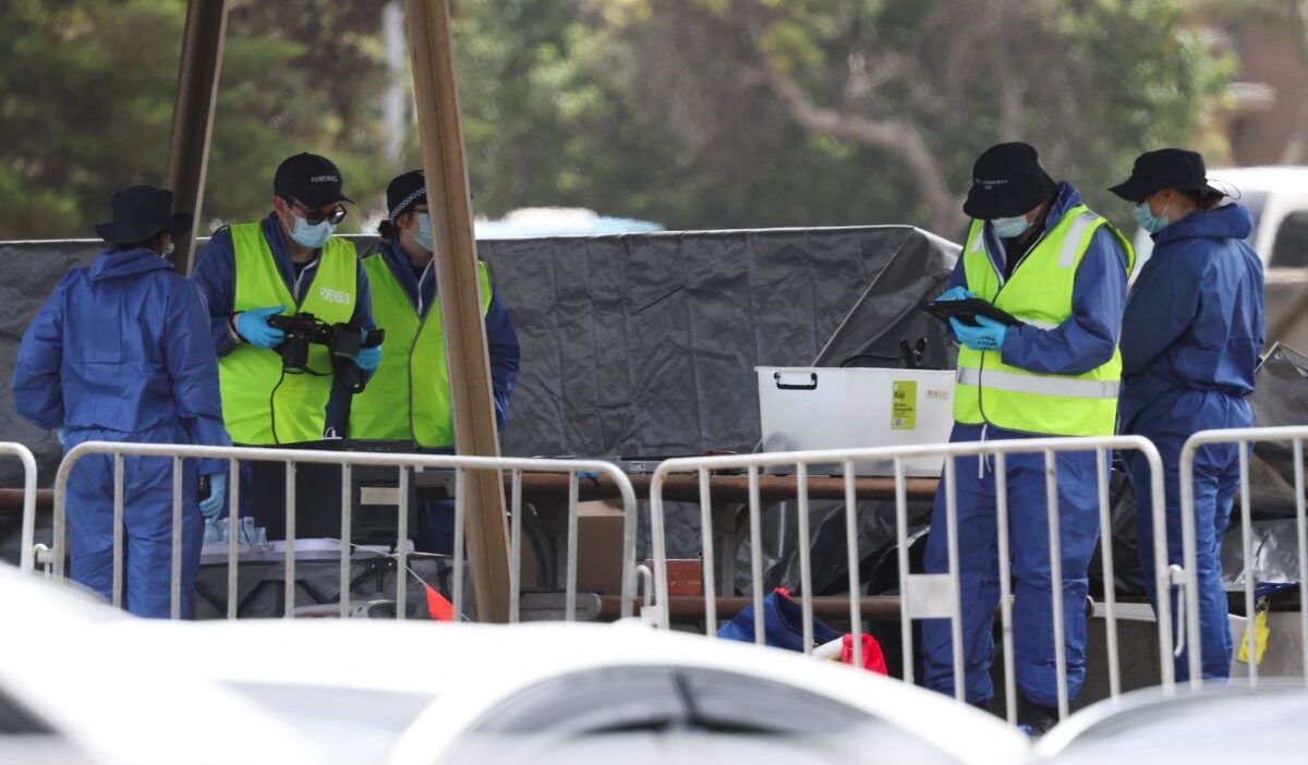 Sydney plaj saldirisina iliskin yeni bilgiler bu bir tehdit olarak gorulmedi 29945