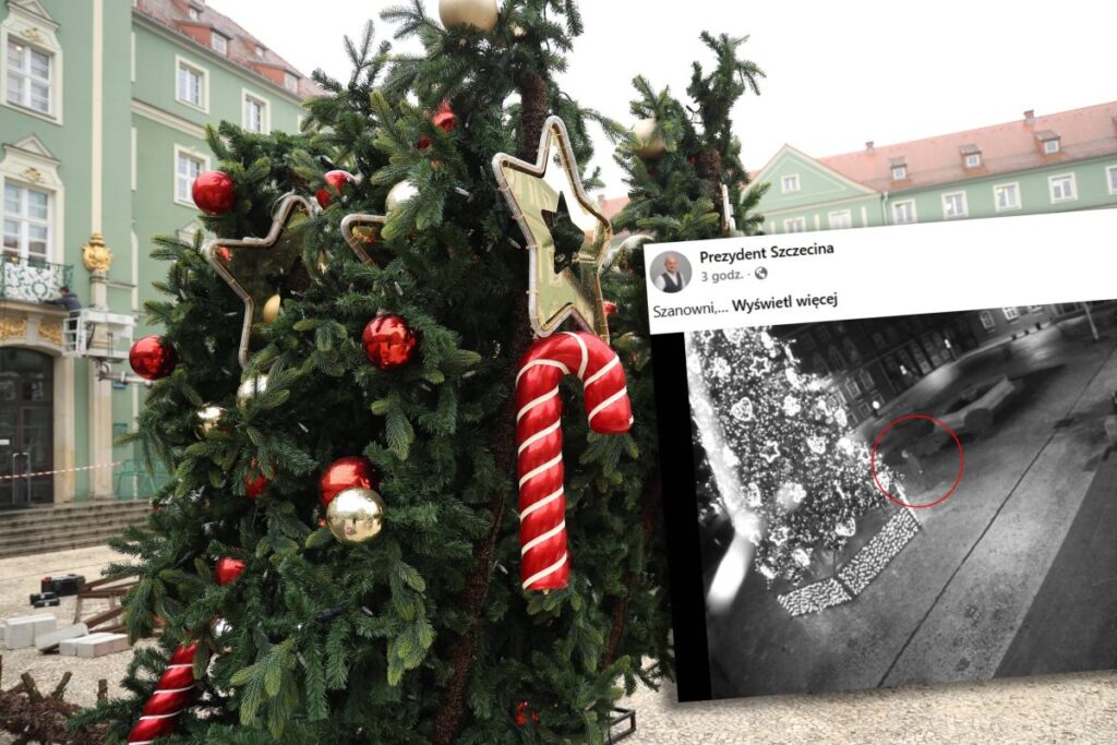 szczecin de bir noel agacinda gece vakti eylem zar zor ayakta duruyor coktan soyulmus goruntuler yayinlandi 28418