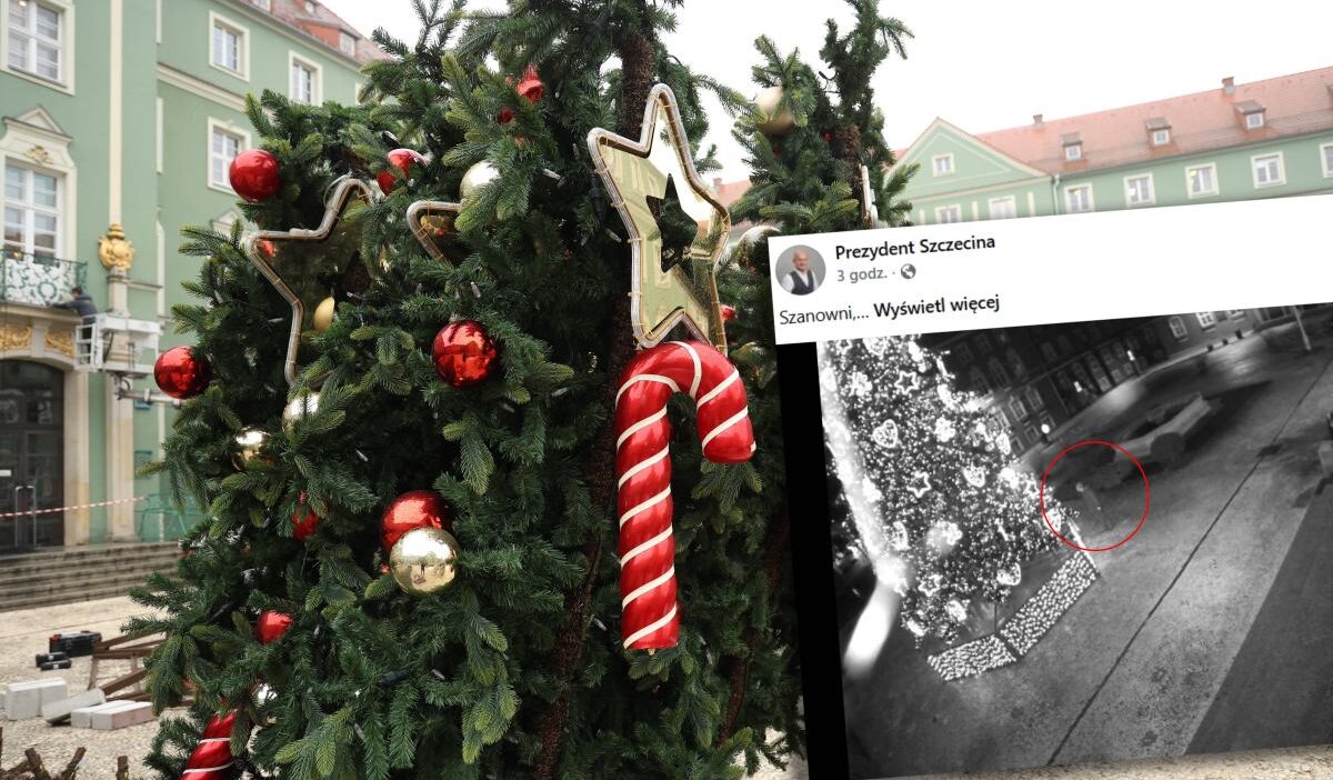 Szczecin de bir noel agacinda gece vakti eylem zar zor ayakta duruyor coktan soyulmus goruntuler yayinlandi 28418