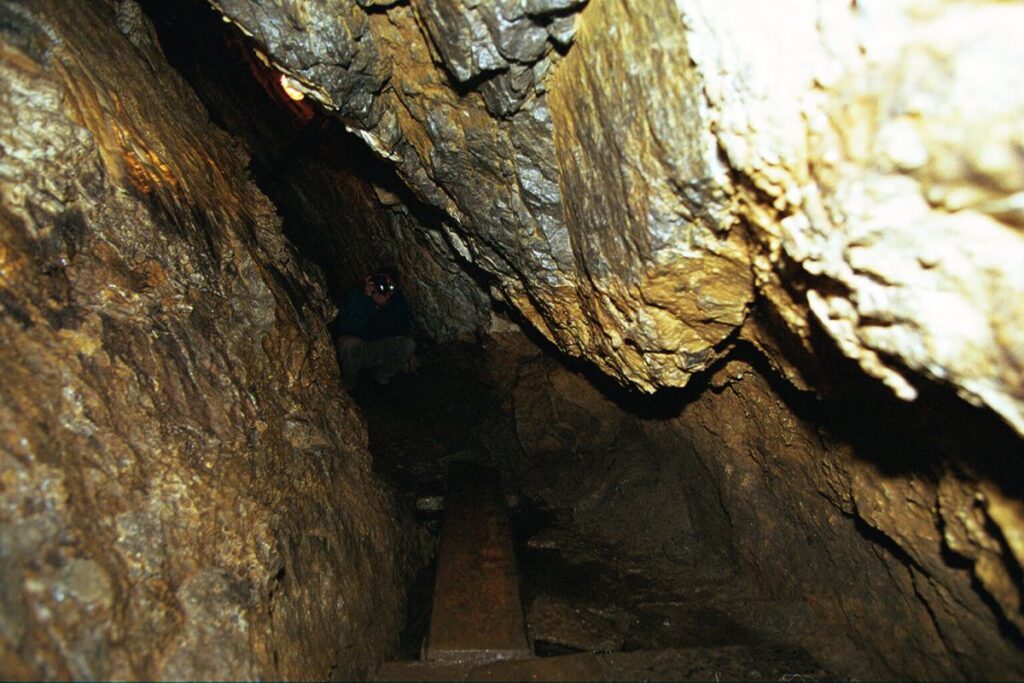 ulusal park magara adamlari hakkinda yaziyor kayiplar neredeyse geri dondurulemez 27444