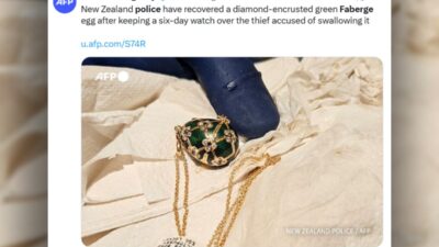 Unlu yumurtayi yedi cunku onu calmak istiyordu servis hazineyi 20 000 dolara geri aldi 28015