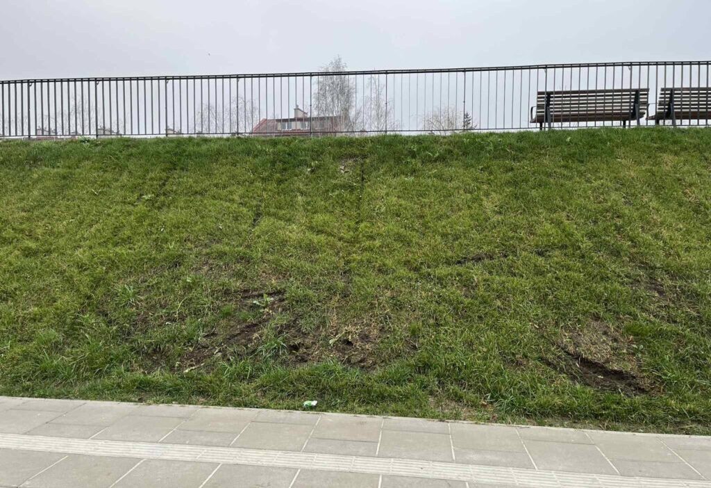 Ursynów'da sokakları ve yeşilliği yok ediyorlar. Doğrusal bir parkı parçalamak için elektrikli bisikletler kullanıyorlar 1 Ursyn w da sokaklari ve yesilligi yok ediyorlar dogrusal bir parki parcalamak icin elektrikli bisikletler kullaniyorlar 31228