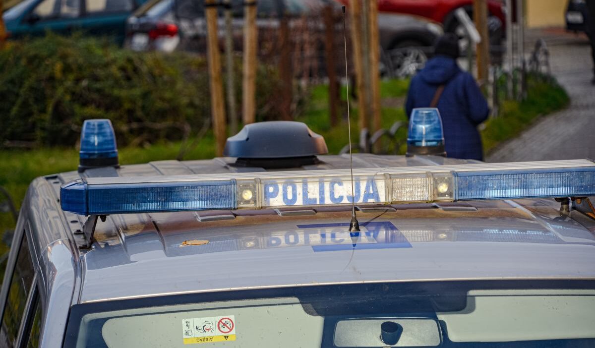 Varsova da dokuz yasinda bir cocuk kacirildi polis memurlari insan avini sonlandirdi 31622