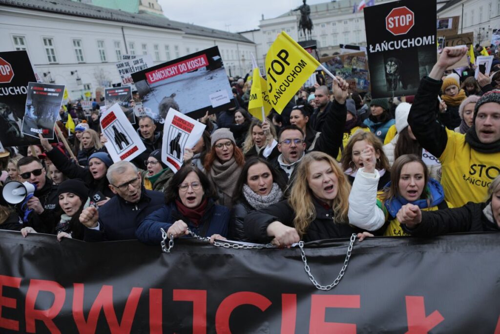 varsova da hayvanlar icin buyuk yuruyus baskan in konutunun onundeki final 29905