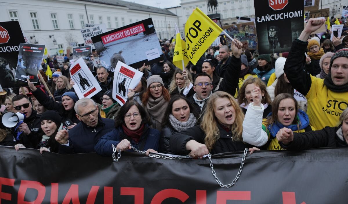 Varsova da hayvanlar icin buyuk yuruyus baskan in konutunun onundeki final 29905