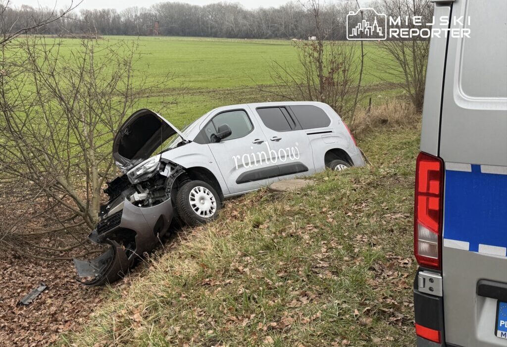 Wilan w da tehlikeli olay hendekte bir araba ve kirilmis bir agac 28097