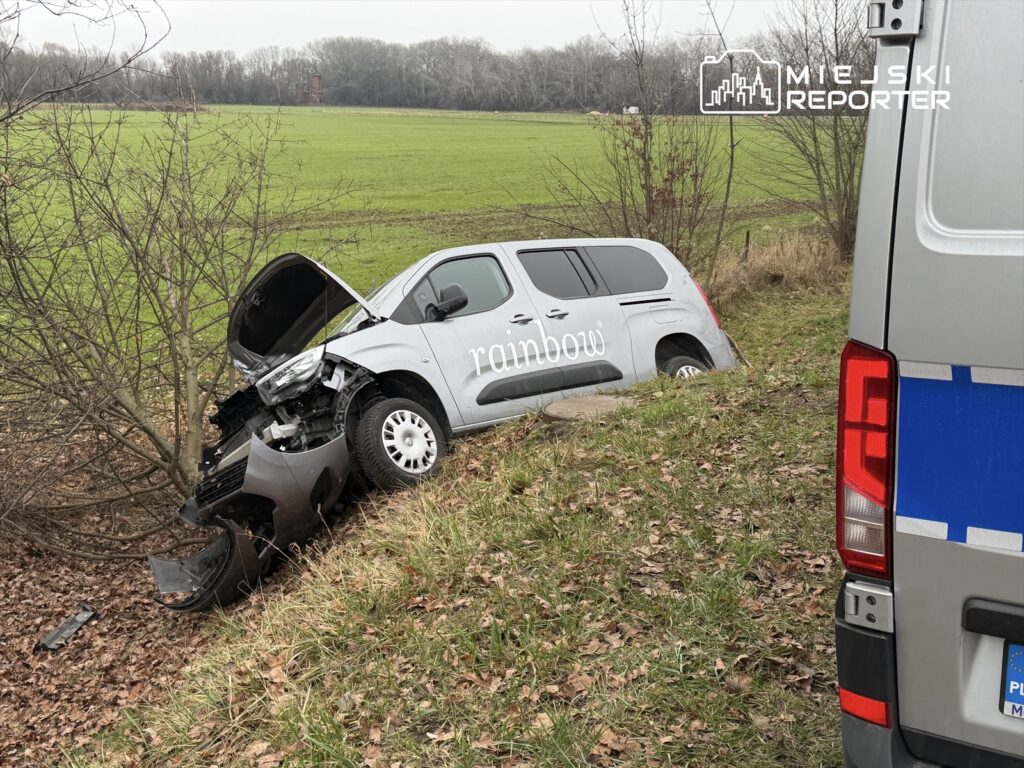 wilan w da tehlikeli olay hendekte bir araba ve kirilmis bir agac 28097