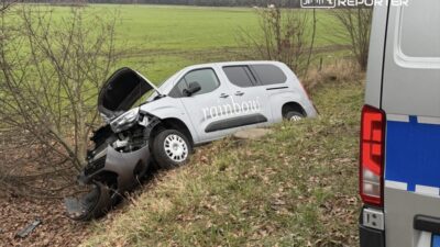 Wilan w da tehlikeli olay hendekte bir araba ve kirilmis bir agac 28111