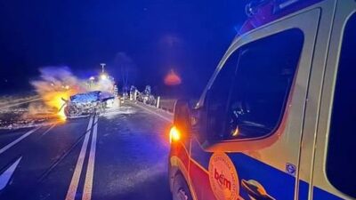 Ziel cice de alti olum polis yeni bulgulari dogruladi 32244