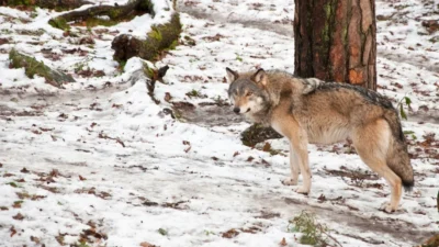 000m5qnh0qrjgp7w c123 f4