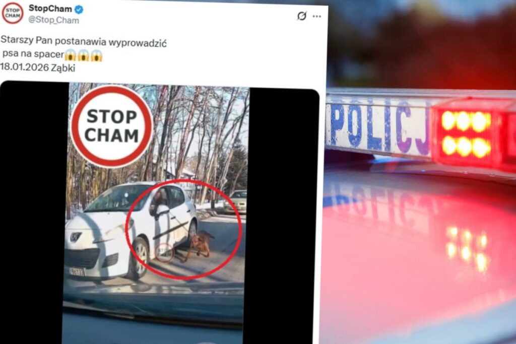 72 yasindaki surucu araciyla kopegini suruklerken goruntulendi 34636