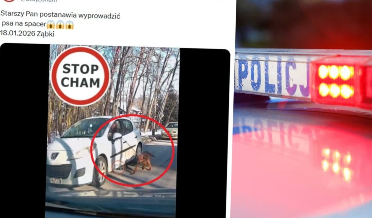 72 yasindaki surucu araciyla kopegini suruklerken goruntulendi 34636