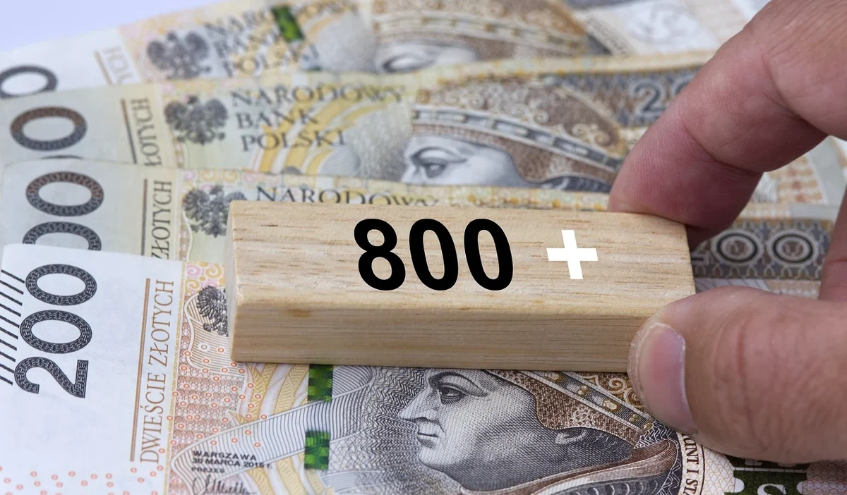 800 plus yardiminda yeni donem basvurular 1 subat ta basliyor tekrar basvuru zorunlu 36830