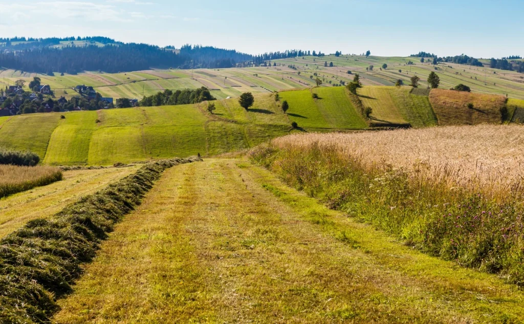 buyuksehir birlikleri su sorunlari kuraklik ve sel riskini artiriyor 35519