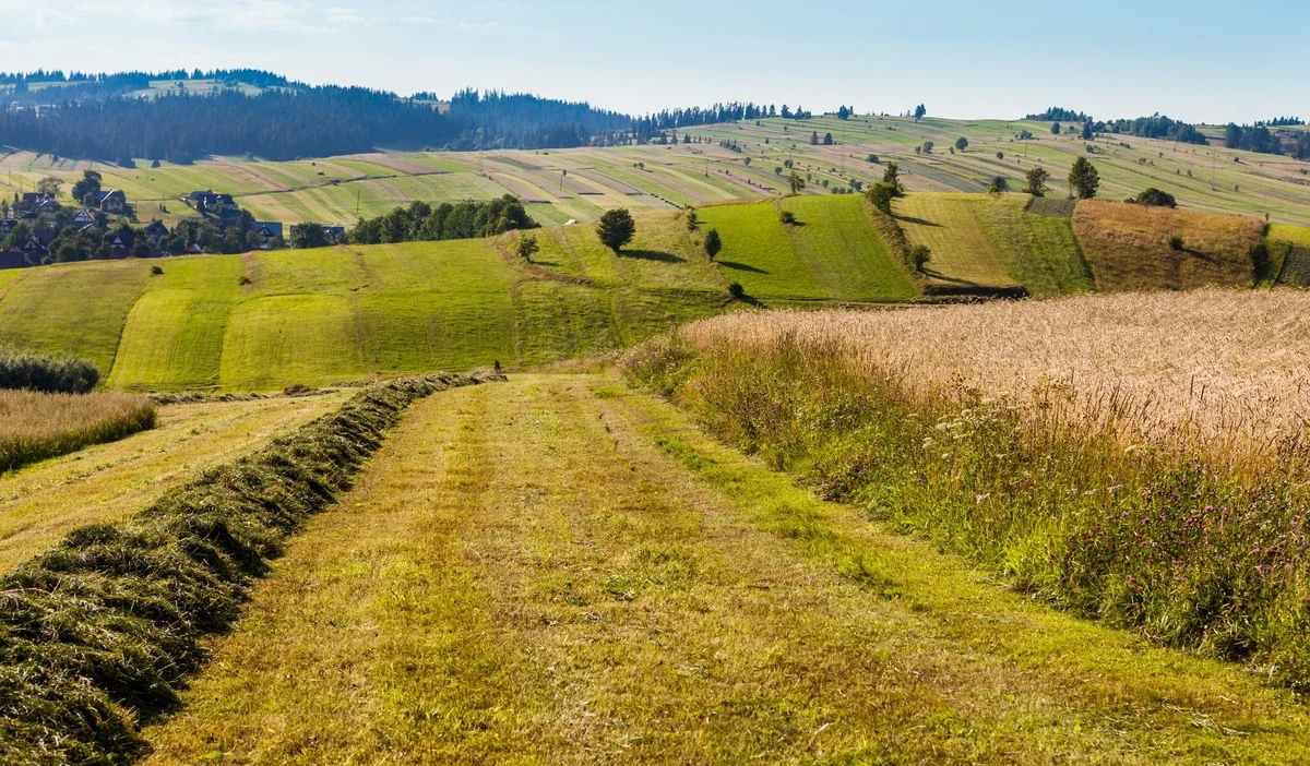 Buyuksehir birlikleri su sorunlari kuraklik ve sel riskini artiriyor 35519