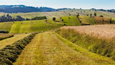 Buyuksehir birlikleri su sorunlari kuraklik ve sel riskini artiriyor 35519