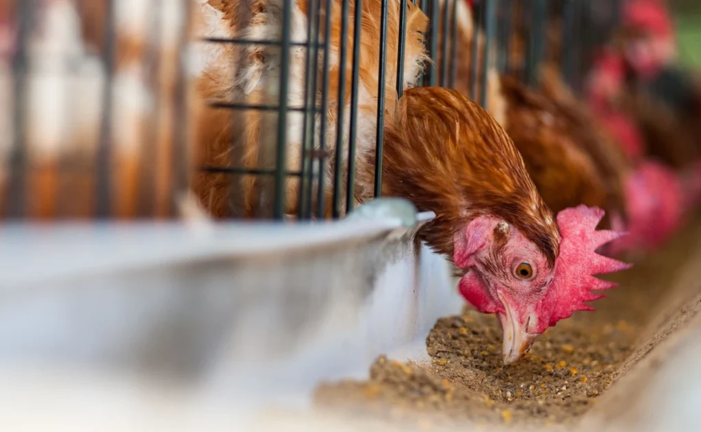 cevresel kosullar karari oncesi tespit edilmesi gereken hususlar 38865