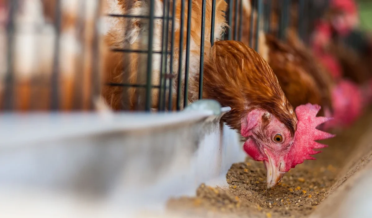 Cevresel kosullar karari oncesi tespit edilmesi gereken hususlar 38865