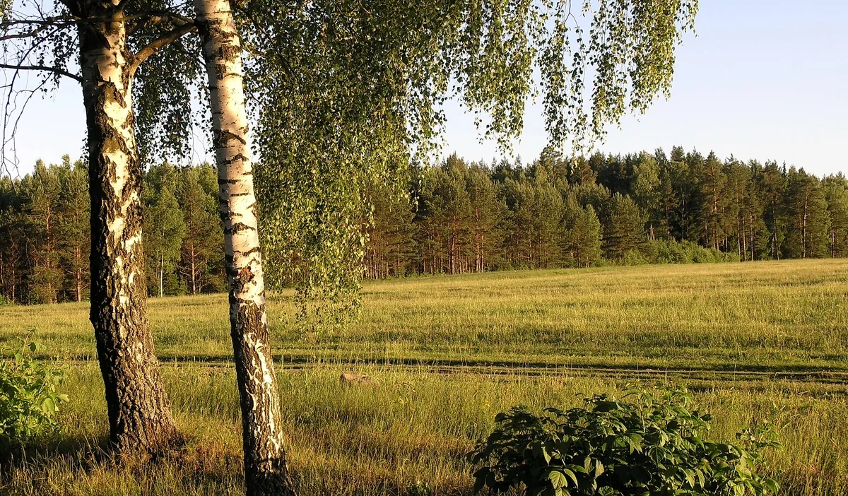 Devlet tarim arazisi satisi yasagi 2036 ya kadar uzatildi 37304