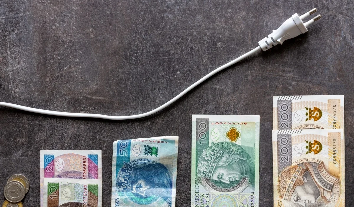 Fatih birol elektrik olmayan gelecek avrupali gelecek degil 39453