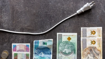 Fatih birol elektrik olmayan gelecek avrupali gelecek degil 39453