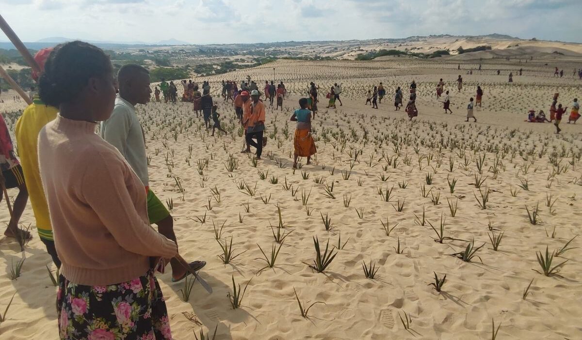 Gaza ya yaklasik 2 milyon orta afrika ya binbes gozden kacan krizler 43 milyon i nsani etkiliyor 40034