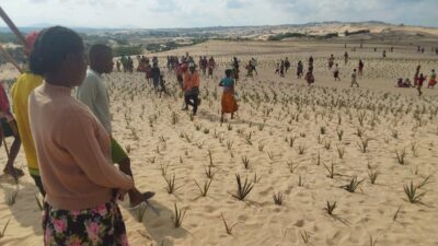 Gaza ya yaklasik 2 milyon orta afrika ya binbes gozden kacan krizler 43 milyon i nsani etkiliyor 40034