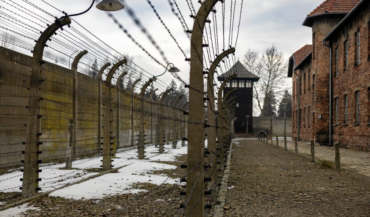 Holokost belgeleri i halesi protestolarla i ptal edildi 40760