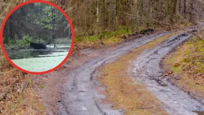 I sletmenin yol atigi dokmesi yasak 38553