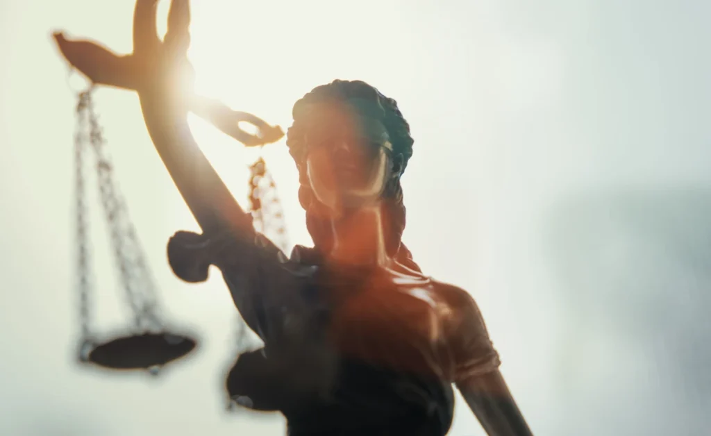 iustitia dernegi nin mali kaynaklari ve siyasi baglantilari 37861