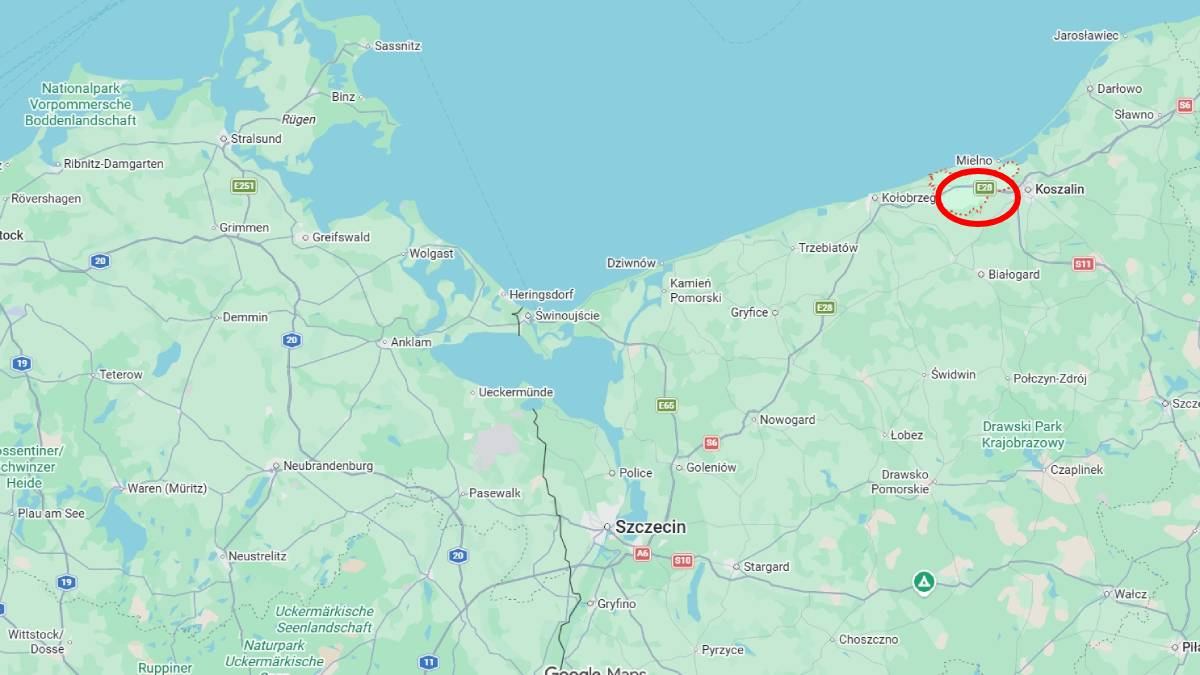 Koszalin de vahsi kozalakli kaptan tespit edildi 40040