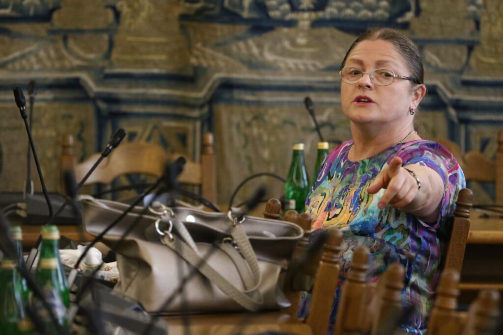 krystyna pawlowicz kilisede wosp gonullulerini cikardim 37882