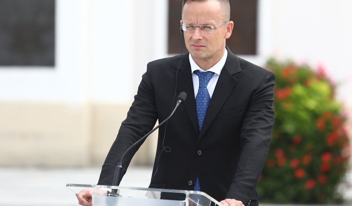 Macaristan disisleri bakani gronland sorunu ab nin sorunu degil 35004