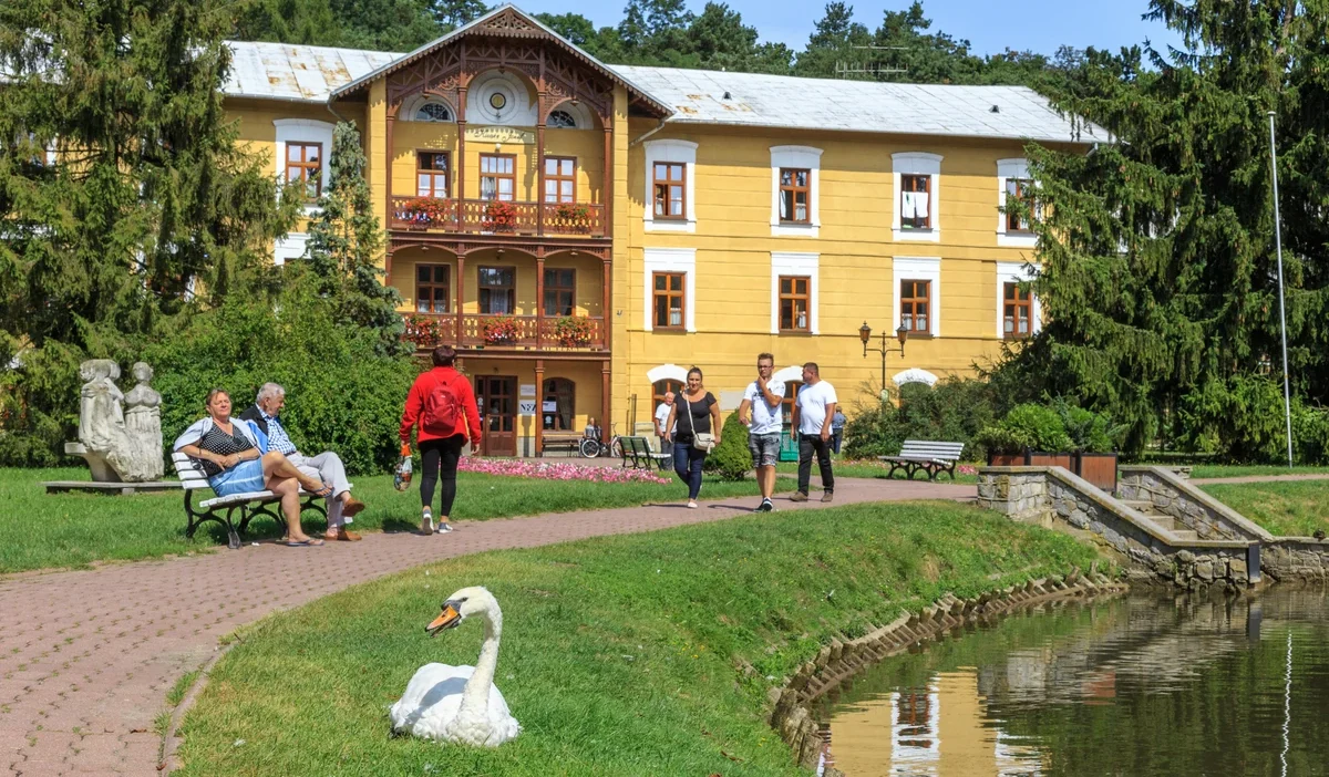 Nfz 2026 sanatorium bekleme sureleri aciklandi i l i llere detayli bilgiler 34313