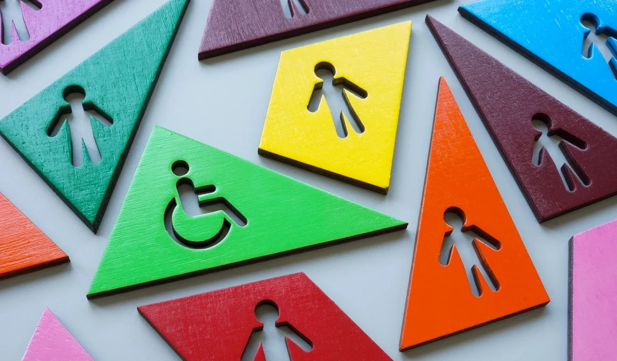 Polonya da agir olmayan engellilik derecesi haklar surecler ve destekler 38635