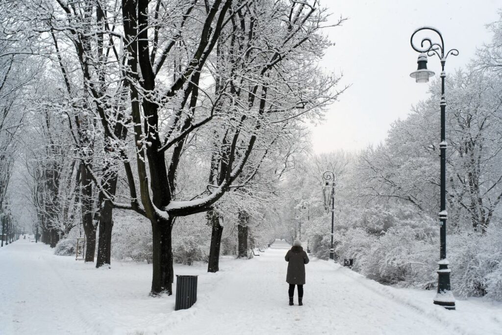 polonya da rekor farkla soguk sicaklik farki 16 dereceyi asti 40806