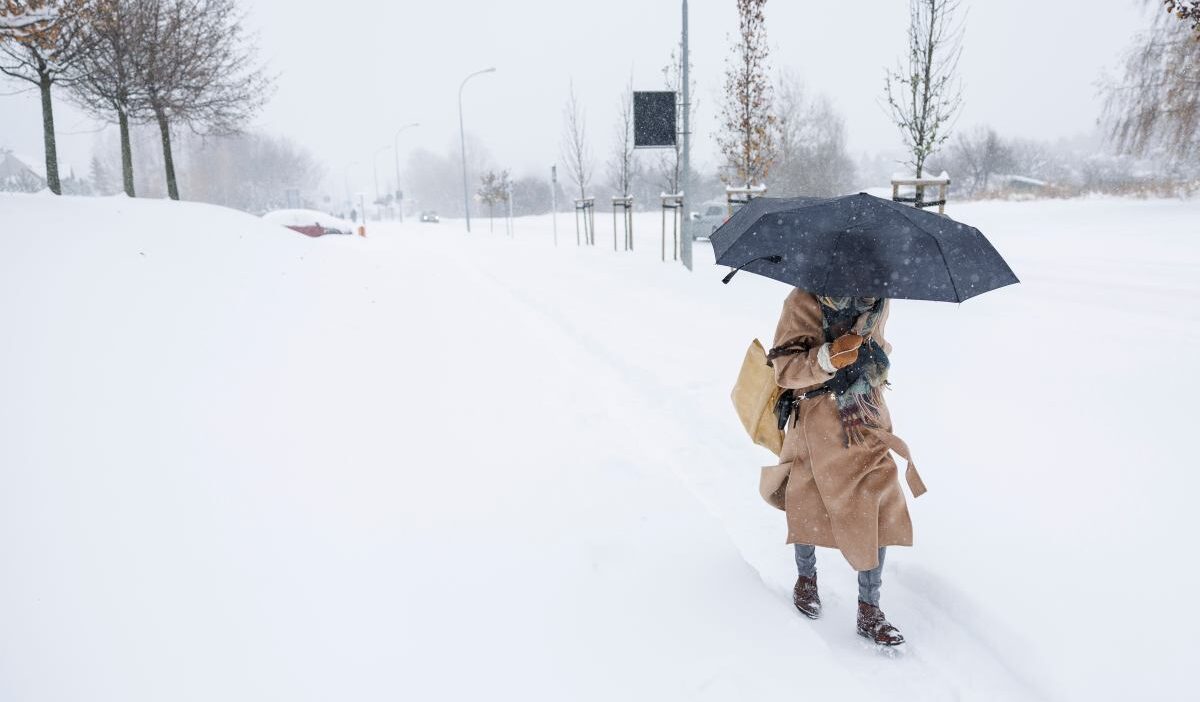 Polonya merkez bankasi faiz kararini acikladi 37475