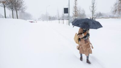 Polonya merkez bankasi faiz kararini acikladi 37475