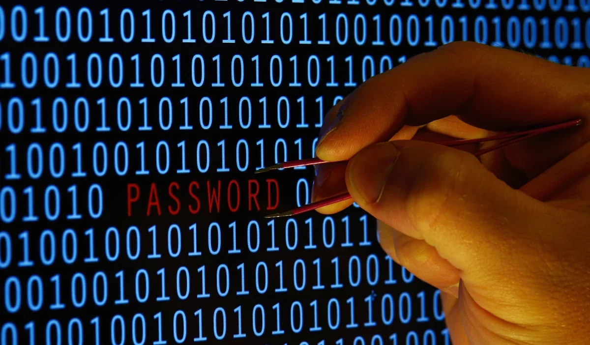 Polski 2050 seçiminde 26 bin giriş: sistem arızası mı, hacker saldırısı mı? 1 Polski 2050 seciminde 26 bin giris sistem arizasi mi hacker saldirisi mi 33326