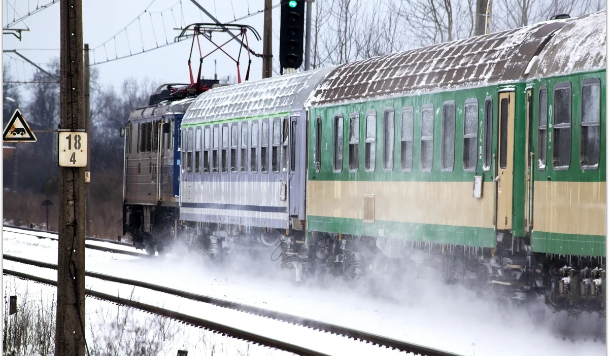 Pozna tren i stasyonunda teknik ariza berlin yolu trenleri 8 saatten fazla gecikti 35430