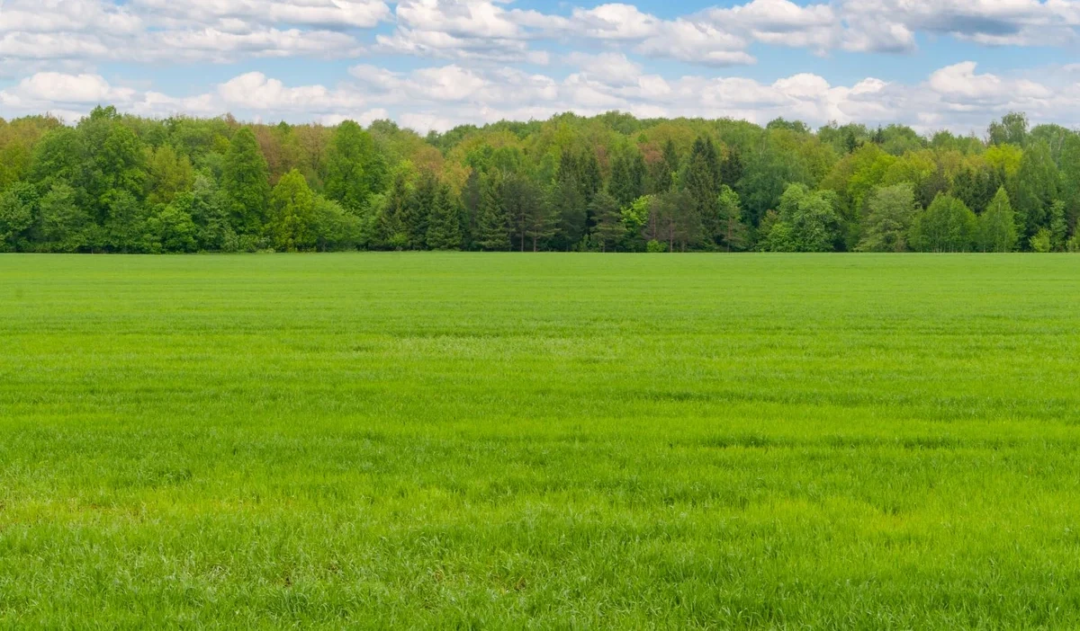Sejme baslayan oturumda komisyon calismalari degerlendirilecek 35507
