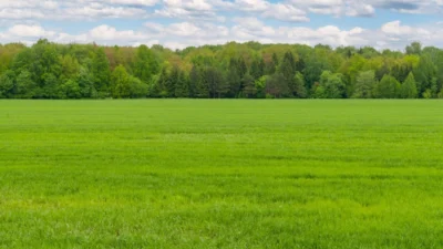 Sejme baslayan oturumda komisyon calismalari degerlendirilecek 35507