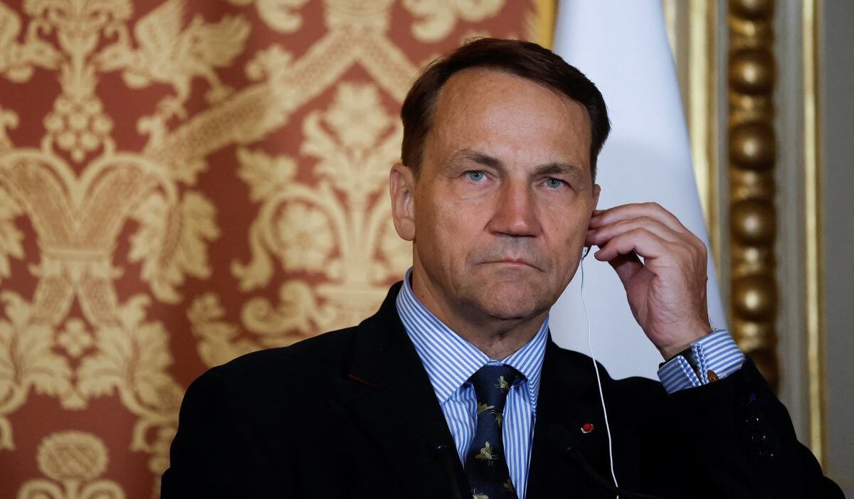 Sikorski nin hindistan ziyaretinde diplomatik gerginlik 35772