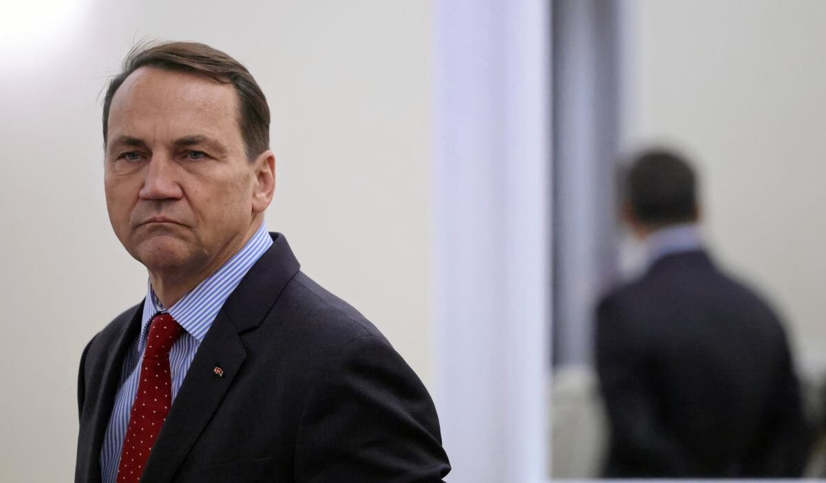 Sikorski putin in baris konseyi davetine tepki verdi 35163