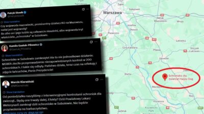 Sobolew barınağı kapatıldı, sahibine faaliyet yasağı geldi 2 Sobolew barinagi kapatildi sahibine faaliyet yasagi geldi 37615